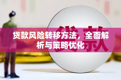 衡东贷款风险转移方法，全面解析与策略优化