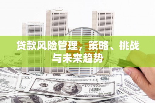 衡东贷款风险管理，策略、挑战与未来趋势