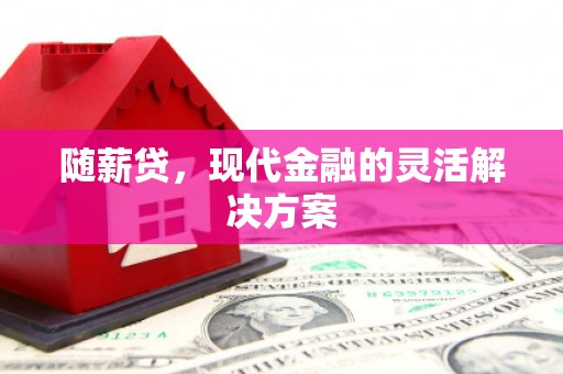 衡东随薪贷，现代金融的灵活解决方案