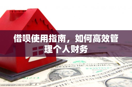 衡东借呗使用指南，如何高效管理个人财务