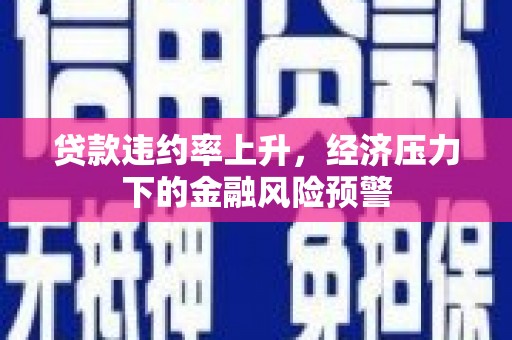 衡东贷款违约率上升，经济压力下的金融风险预警