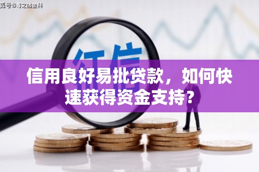 衡东信用良好易批贷款，如何快速获得资金支持？