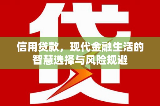 衡东信用贷款，现代金融生活的智慧选择与风险规避