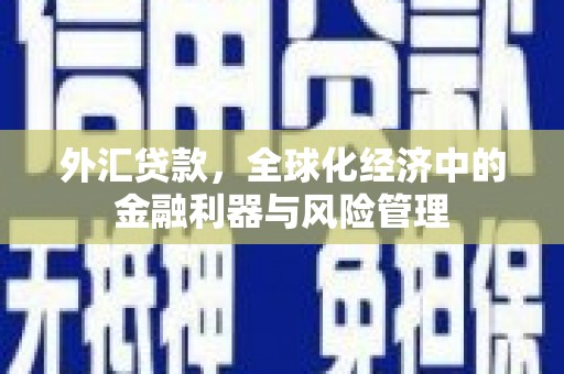 衡东外汇贷款，全球化经济中的金融利器与风险管理