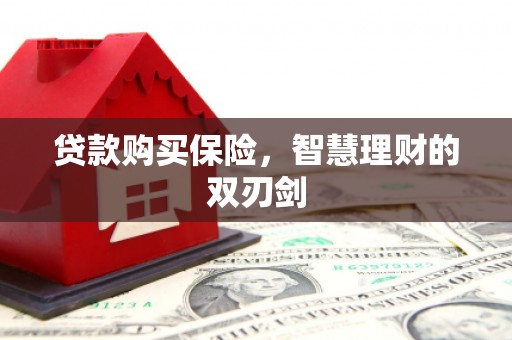 衡东贷款购买保险，智慧理财的双刃剑