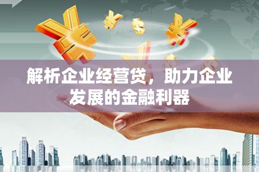 衡东解析企业经营贷，助力企业发展的金融利器