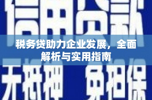 衡东税务贷助力企业发展，全面解析与实用指南