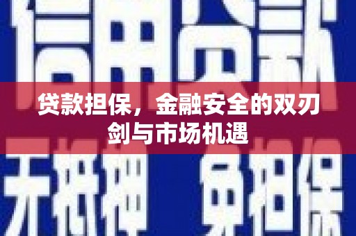 衡东贷款担保，金融安全的双刃剑与市场机遇