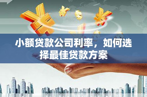 衡东小额贷款公司利率，如何选择最佳贷款方案