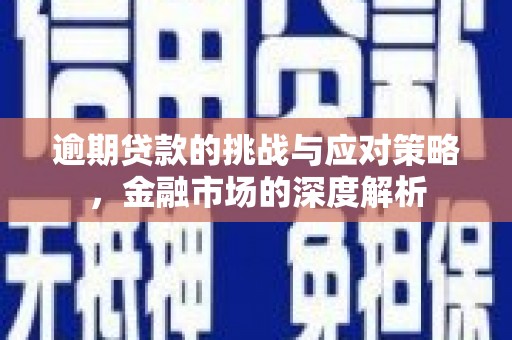 衡东逾期贷款的挑战与应对策略，金融市场的深度解析