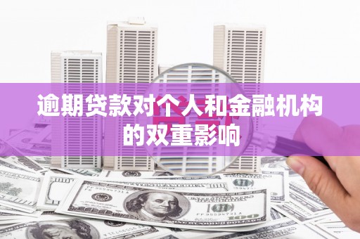 衡东逾期贷款对个人和金融机构的双重影响