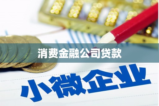 衡东消费金融公司贷款