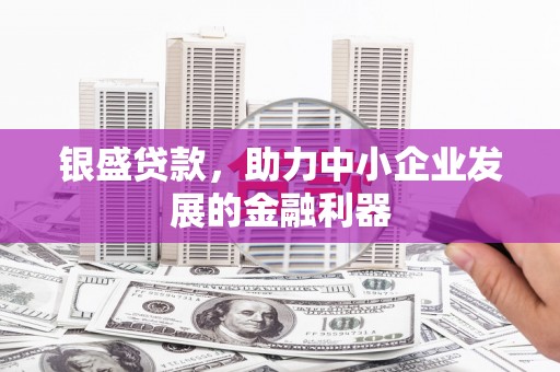衡东银盛贷款，助力中小企业发展的金融利器