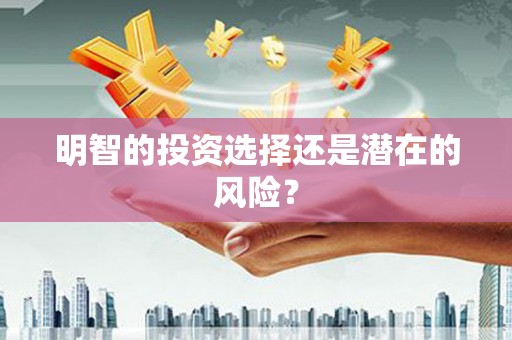 衡东明智的投资选择还是潜在的风险？
