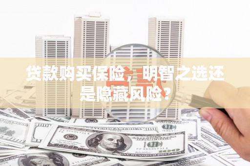 衡东贷款购买保险，明智之选还是隐藏风险？