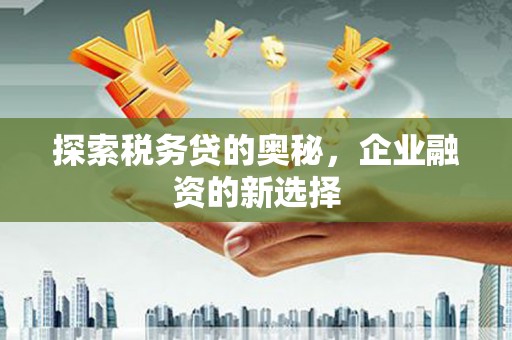 衡东探索税务贷的奥秘，企业融资的新选择