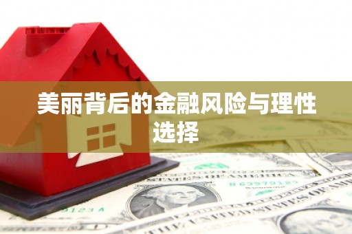 衡东美丽背后的金融风险与理性选择