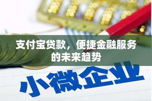 衡东支付宝贷款，便捷金融服务的未来趋势