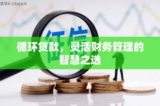 衡东循环贷款，灵活财务管理的智慧之选