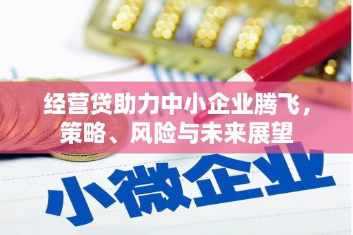 衡东经营贷助力中小企业腾飞，策略、风险与未来展望