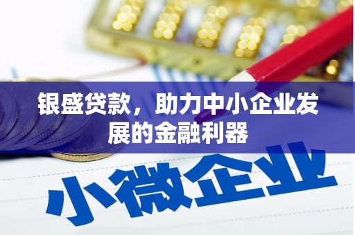 衡东银盛贷款，助力中小企业发展的金融利器