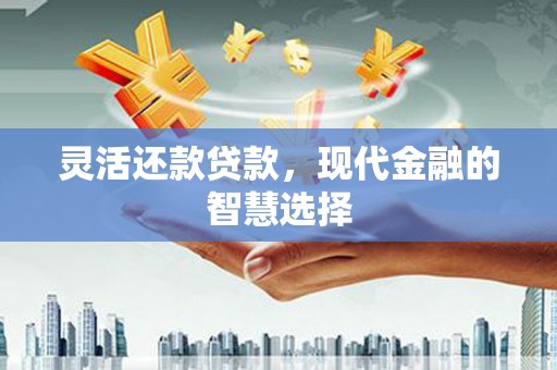 衡东灵活还款贷款，现代金融的智慧选择