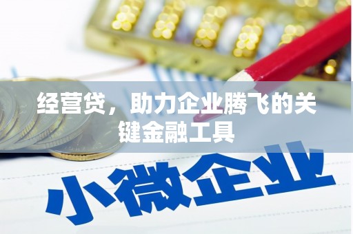 衡东经营贷，助力企业腾飞的关键金融工具