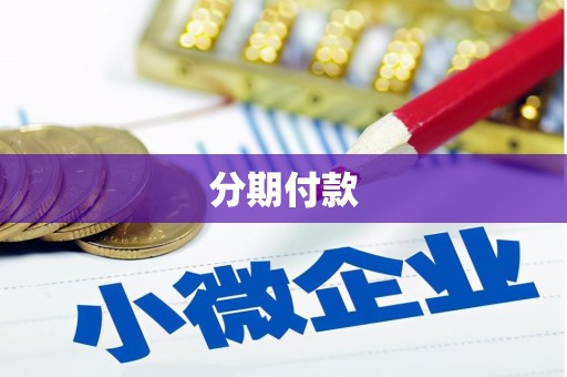 衡东分期付款