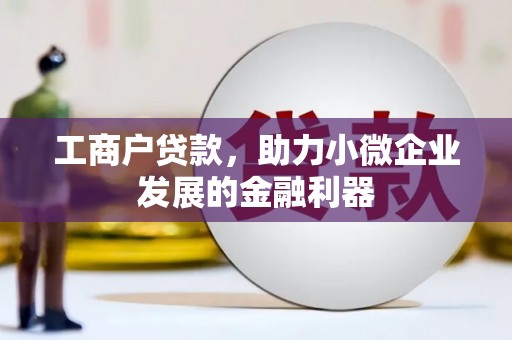 衡东工商户贷款，助力小微企业发展的金融利器