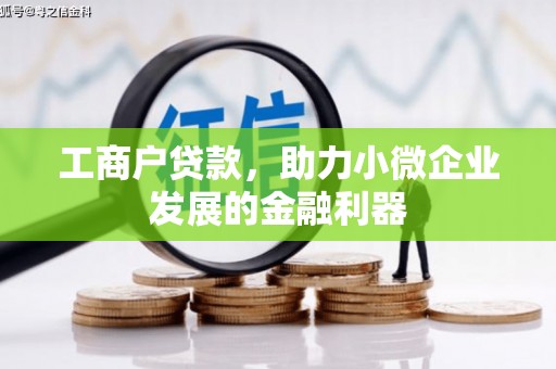 衡东工商户贷款，助力小微企业发展的金融利器