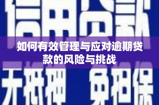 衡东如何有效管理与应对逾期贷款的风险与挑战