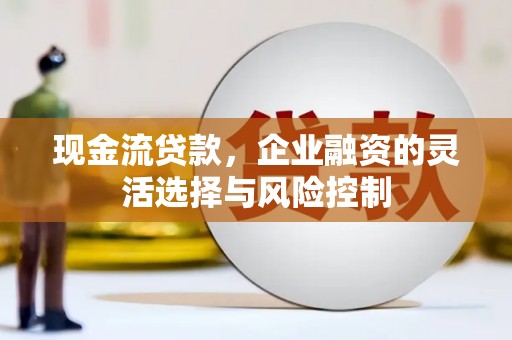 衡东现金流贷款，企业融资的灵活选择与风险控制