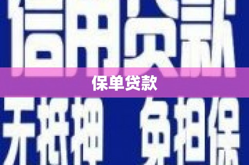 衡东保单贷款