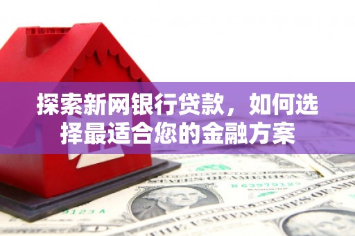 衡东探索新网银行贷款，如何选择最适合您的金融方案