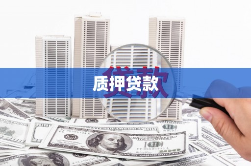 衡东质押贷款