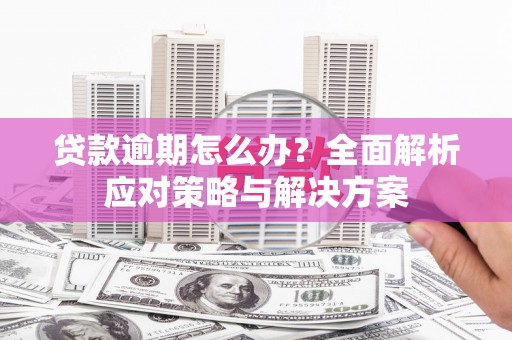 衡东贷款逾期怎么办？全面解析应对策略与解决方案