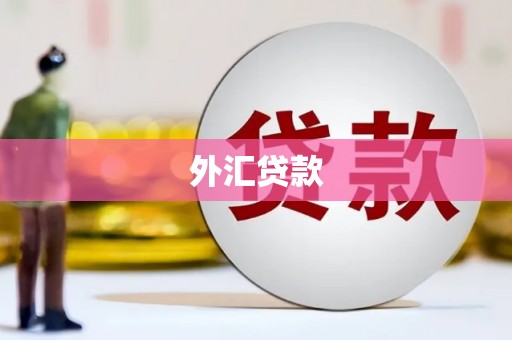 衡东外汇贷款