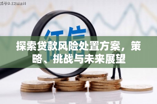 衡东探索贷款风险处置方案，策略、挑战与未来展望