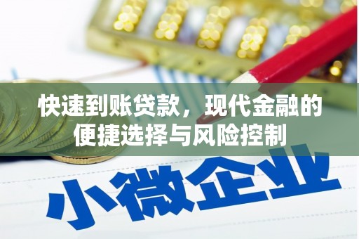 衡东快速到账贷款，现代金融的便捷选择与风险控制