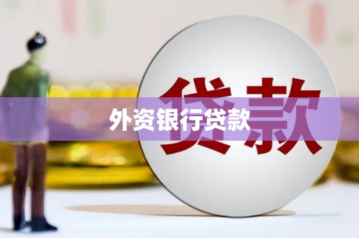 衡东外资银行贷款