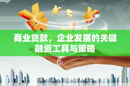 衡东商业贷款，企业发展的关键融资工具与策略