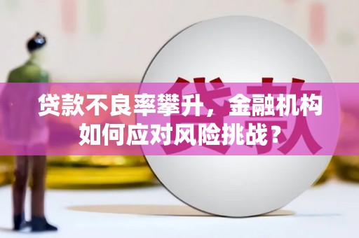 衡东贷款不良率攀升，金融机构如何应对风险挑战？