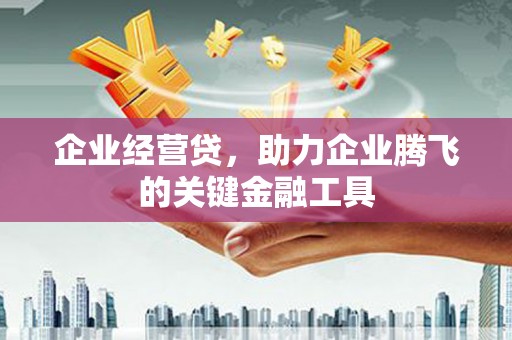衡东企业经营贷，助力企业腾飞的关键金融工具