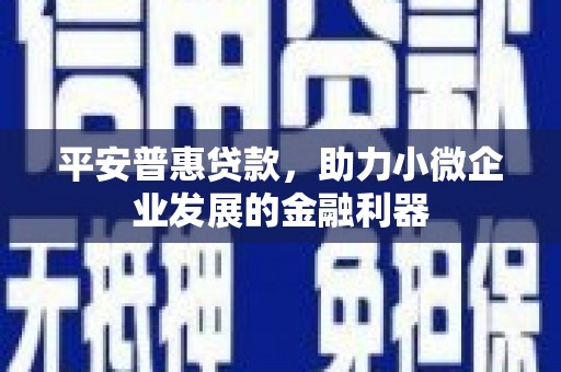 衡东平安普惠贷款，助力小微企业发展的金融利器