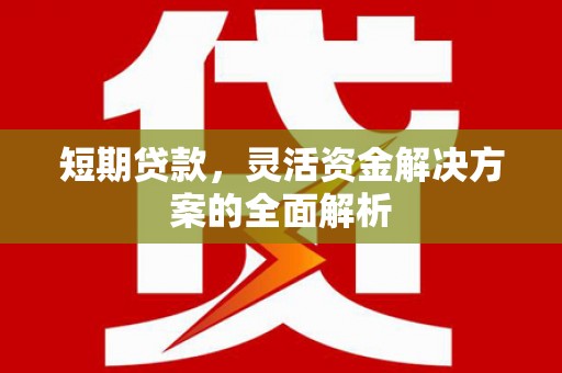 衡东短期贷款，灵活资金解决方案的全面解析