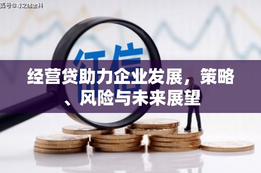 衡东经营贷助力企业发展，策略、风险与未来展望