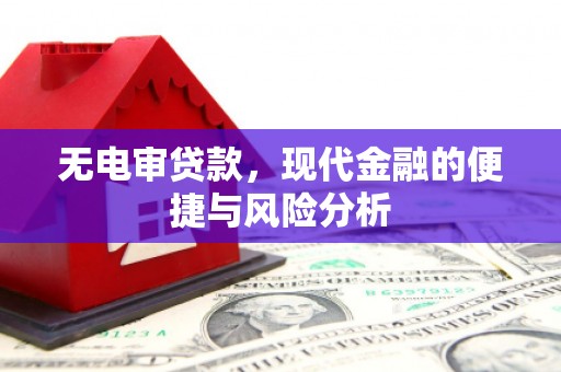 衡东无电审贷款，现代金融的便捷与风险分析
