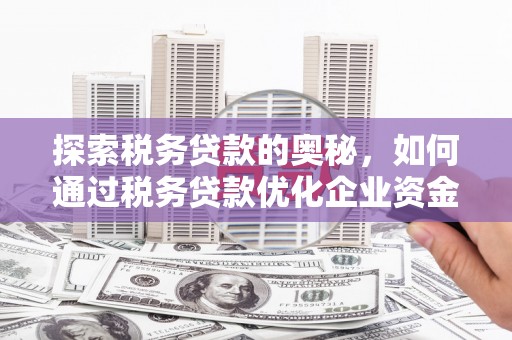 衡东探索税务贷款的奥秘，如何通过税务贷款优化企业资金流
