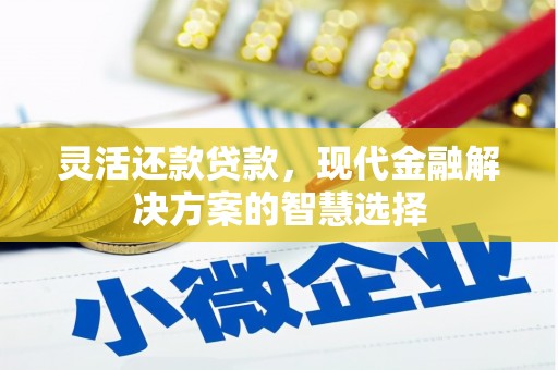 衡东灵活还款贷款，现代金融解决方案的智慧选择