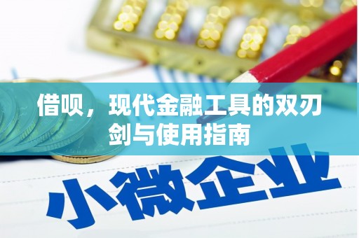 衡东借呗，现代金融工具的双刃剑与使用指南